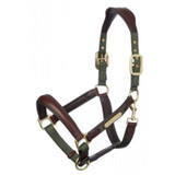 This luxury leather headcollar is beautifully crafted with soft leather, strong nylon and solid metal fittings for a high quality stylish finish.