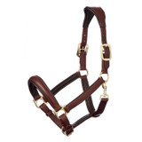 This beautifully crafted padded leather headcollar has an anatomically shaped headpiece and noseband to provide complete comfort to the horse

The solid metal fittings, padded leather throat lash and cheek pieces adds a luxury style to this classic headcollar