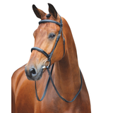Shires Salisbury Fairford Bridle
