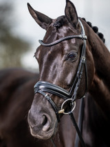 The LeMieux Dressage bridle is a classic example with a contemporary twist and is just made for the ring. The delicate, detachable clincher browband is anatomically shaped and complements the statement padded crank noseband beautifully.

For additional comfort, the crank pad has excellent cushioning and roller buckles on the crank strap and flash. The throat lash fastens discretely under the jaw for a slimline look. This bridle comes in brown with silver fittings and matches the brown Straight Rubber Reins with silver buckle.

The LeMieux Bridles are made from beautifully soft European leather and feature an anatomically shaped headpiece with soft padded cut away around the ears and poll to aid in the distribution of pressure, maximising comfort.