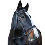 Cameo Equestrian Anatomic Comfort Bridle