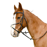 Rhinegold Windsor Leather Bride with Mexican Noseband