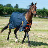 Trojan 100g rug is a perfect rug for the cool Spring/Autumn weather, suitable for all horses. Featuring a waterproof, breathable outer and shoulder pleats, your horses will be satisfied.

• 600d ripstop outer
• 100gsm insulated fill
• Waterproof
• Breathable
• Nylon lining
• Cross surcingles
• Equipped with safety breakaway elasticated detachable leg straps
• Tail flap
• Shoulder pleat to reduce rubbing
• Double breast buckle fastenings