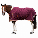 Gallop Trojan Xtra 100g Turnout