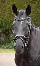 Rhinegold Italia Luxury Anatomical Flash Bridle Rhinegold Italia Luxury Anatomical Flash Bridle