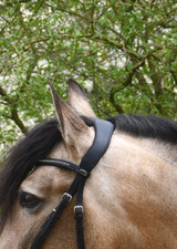 Heritage Saddlery Anatomical Cavesson Bridle