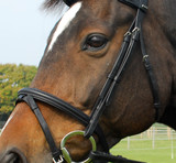 Heritage Saddlery English Leather Bridle With Flash Noseband