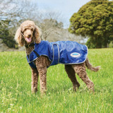 The WeatherBeeta ComFiTec Windbreaker Free Deluxe Dog Coat offers the best fit for active, outdoor loving dogs. Made to protect your dog on those inclement weather days, featuring a showerproof and strong 420 denier outer shell with warm and cosy boa fleece lining. The stretch gusset and arched legs allow for maximum freedom of movement with a full chest and belly wrap with adjustable touch tape closures and large collar for extra warmth and protection in cooler conditions. The contoured back seem shapes around the tail allowing freedom for tail wagging. Features a harness hole for convenience.