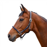 Whitaker Raywell Leather & Rope Headcollar