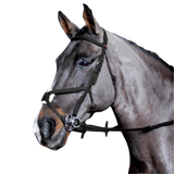 Whitaker Ready to Ride Mexican Bridle