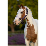 LeMieux Vogue Headcollar & Leadrope Juniper