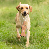 Part of the Benji & Flo Tug 'n' Play Dog Toy range, your dog will have great fun playing with this toy! Made from rope with a suede handle, this ball toy is perfect for interactive play time or chewing – great for a game of tug of war, throwing or playing fetch with. This tough, long lasting and eco-friendly toy will keep your dog entertained for hours!Pets should always be supervised when playing with toys. Remove if your dog chews off any pieces. Not machine washable. No toy is indestructible.