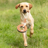 Benji & Flo Tug 'n' Play Toy Rope With Ring