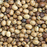 Bamfords Channel Mix