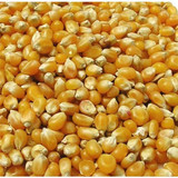 French Whole Maize