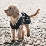 EQUIDRY Waterproof Dog Coat with soft, thin fleece lining, reflective logos & trim with lead and harness access, with an adjustable body band for chest coverage.

Designed to co-ordinate with our range of coats to keep your Doggie warm and dry on winter days.