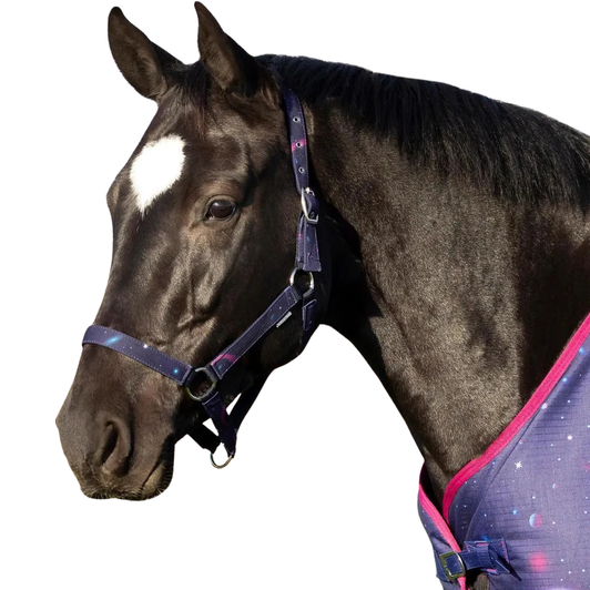 Your horse will look Out of This World in this limited edition head collar and lead rope, ideal for everyday use or special occasions! This durable headcollar features a soft lead rope and a space pattern to the nose and cheek pieces. Complete the look with the Our of This World Collection.