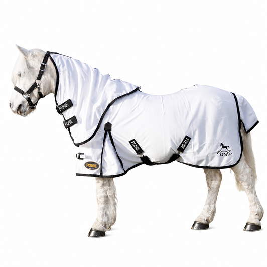 Gallop Ponie Dual 5-Point Fly Rug & Neck Set