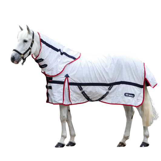 Whitaker Rastrick V2 UV Cool Rug