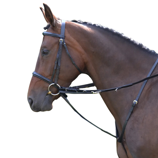 Web reins. Three D rings on the rein, buckle fastening and trigger clip attachments.