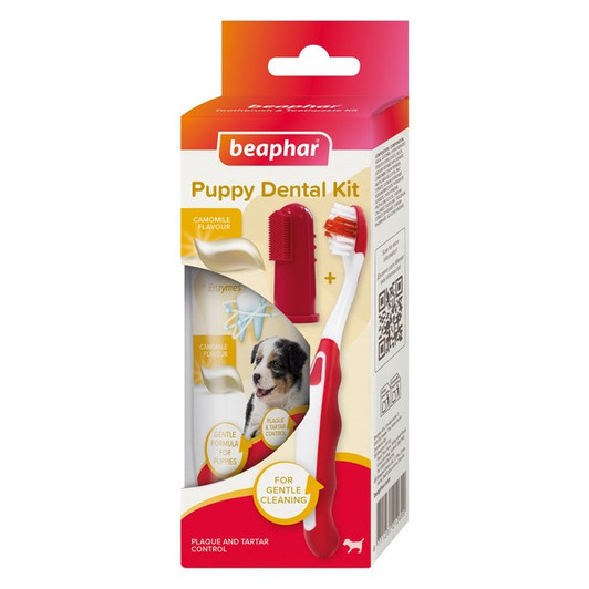 Say goodbye to plaque and tartar, and hello cleaner teeth and fresh breath with the Beaphar Dental Care Kit for Puppies, which contains everything puppies need to start their dental care journey, including two training brushes and camomile-flavoured Beaphar Puppy Toothpaste. Together, the toothbrushes and specially formulated toothpaste with enzymes help counteract plaque and tartar formation when used as part of a regular brushing routine. Brushing helps dislodge plaque, while enzymes are well-known to help reduce plaque and freshen breath. Puppies are naturally curious and open to new experiences, making it the perfect time to start their dental care routine.