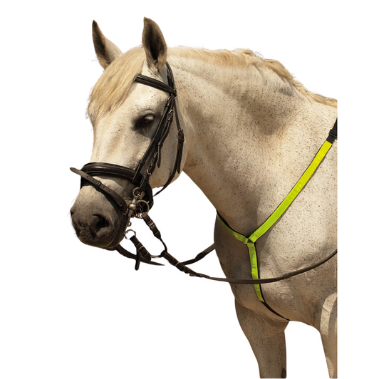 Harlequin Reflective Martingale
