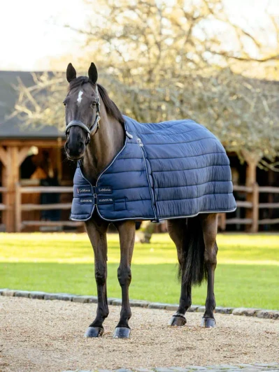Add layers of luxury to your horse's LeMieux Arika and Kudos Rugs with this innovative, interchangeable Rug Liner. 

With deep Kudos shoulder gussets for freedom of movement, it features an antibacterial, anti-static lining with a super-soft peached hand feel to enhance shine on the coat. Its thermobonded fill won't slip or bunch for reliable added warmth and comfort when your horse needs it. An anti-absorbent outer coating helps keep the liner clean.

A slightly shorter depth means it won't peek out under rugs for a smart, streamlined look. D-rings with hook and loop tape secure the liner system at the neck, while quick-release trigger clips secure the liner system at the rear.