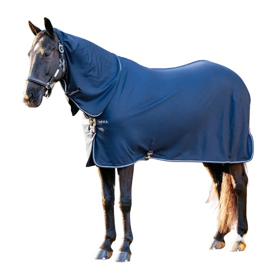 LeMieux Arika DryEase Rug