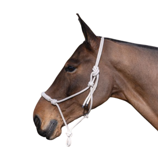 Traditional horse rope halter, lightweight and simple to fit and use. Designed to provide greater control as it tightend when pulled. For safety, it is not recommended for tying the horse. Ensure the halter is fitted with approximately a finger’s width gap between the rope and the horse’s head for comfort. Made with 100% unbleached natural cotton

Traditional
Lightweight
100% unbleached natural cotton