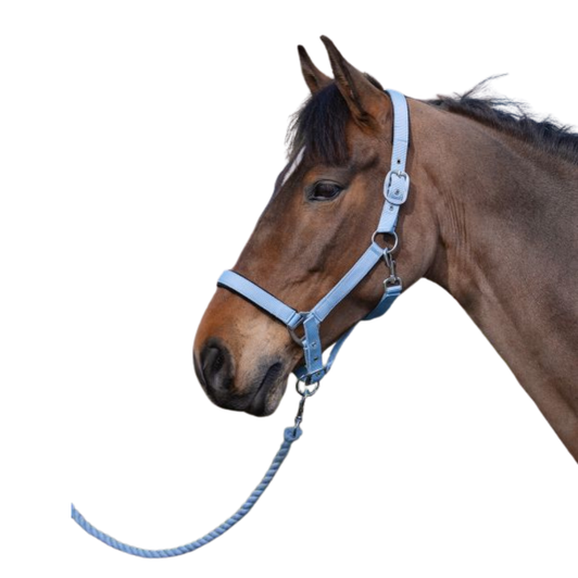 Soft yet durable webbing, double-layered for added strength and longevity. Designed with a padded neoprene anti-pressure headpiece and noseband to provide superior comfort and reduce rubbing.

Fully adjustable on both sides of the headpiece and behind the noseband, ensuring a precise and secure fit. Finished with a convenient trigger clip at the throat for quick release and effortless handling.
Complete with heavy duty cotton Leadrope.
Supplied in re-usable zip up bag.

Fully Padded Headpiece and Noseband
Double Side Adjustable Headpiece Strap
Adjusts at Noseband