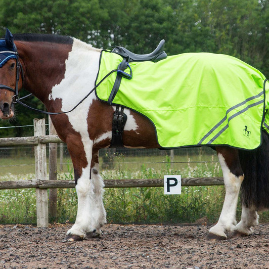 Gallop Trojan Retro Reflective Mesh Exercise Sheet