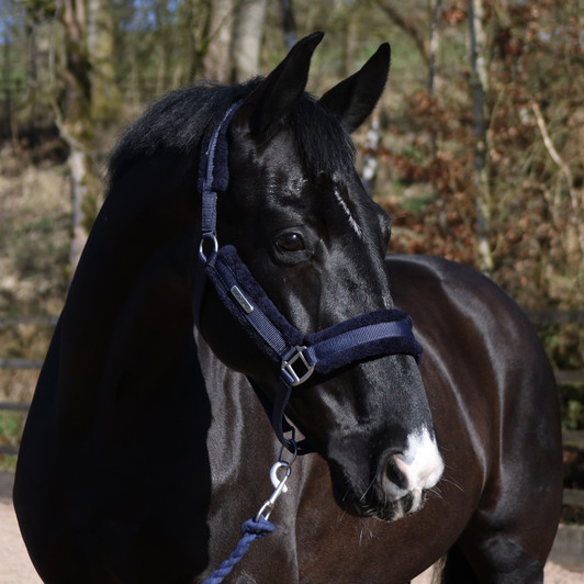 Whitaker Holmfirth Furry Headcollar & Lead Rope