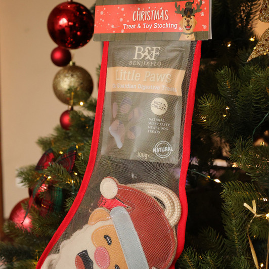 Benji & Flo Christmas Treat & Toy Stocking