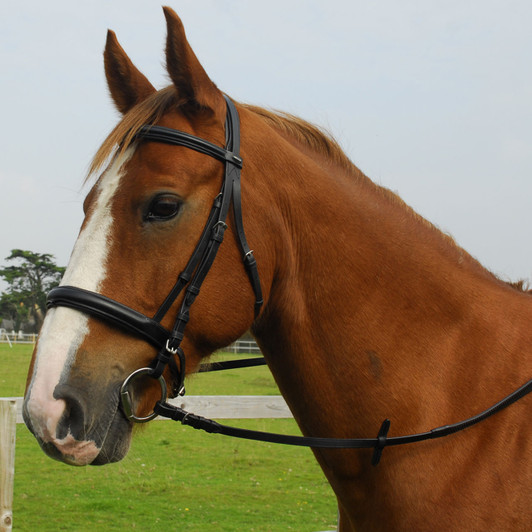 English leather bridle with Comfort design headpiece.

Extra-soft padding around ears and clever design which alleviates uncomfortable pressure for horse.

With padded Cavesson noseband and padded crank fastening. Includes rubber covered reins.

Handcrafted from the finest English leather with stainless steel fittings.

Includes rubber covered reins.