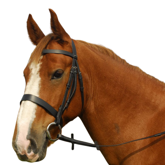 Heritage Plain Hunter Bridle
