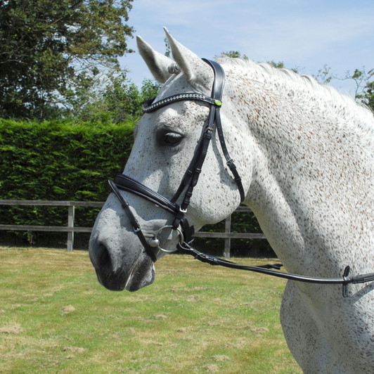 Finest quality supple Italian leather is used for this range.

Anatomically designed headpiece, padded and shaped to relieve pressure on ears.

Noseband shaped to relieve pressure with double adjustment for perfect fit. Wave browband sits comfortably with the shape of the brow.

All with softee leather padding. This bridle also benefits from a double ended throat latch for adjustment on both sides.

Includes smooth feel rubber reins with stitch detail.

Anatomically designed Shaped noseband to relieve pressure Double adjustment for perfect fit Wave browband Handcrafted from Italian leather with stainless steel fittings Includes smooth feel rubber reins with stitch detail