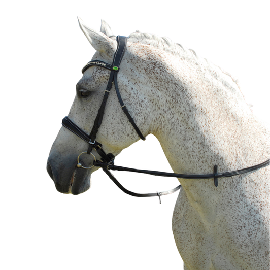 Rhinegold Anatomic Cavesson Bridle