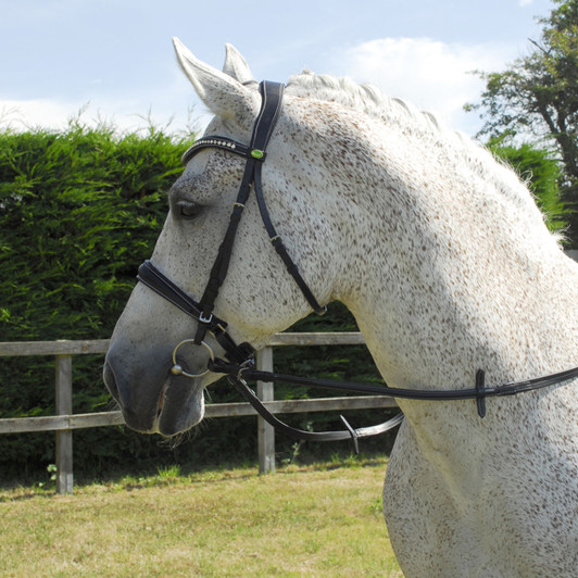 Rhinegold Anatomic Cavesson Bridle