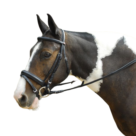 Windsor Leather Comfort with Flash Bridle