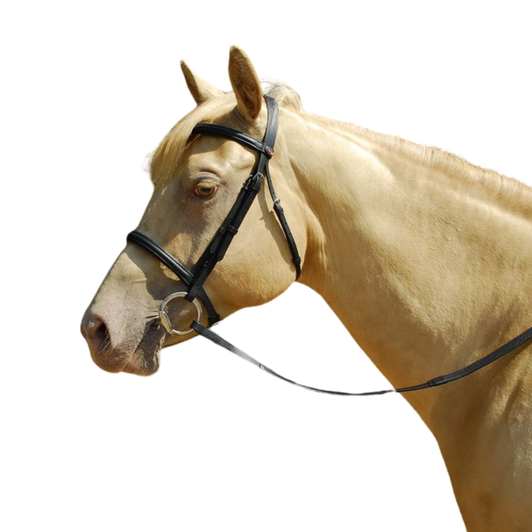 Windsor Plain Cavesson Bridle