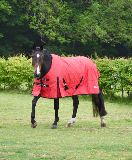 Rhinegold Konig Mediumweight Turnout Rug Rhinegold Konig Mediumweight Turnout Rug