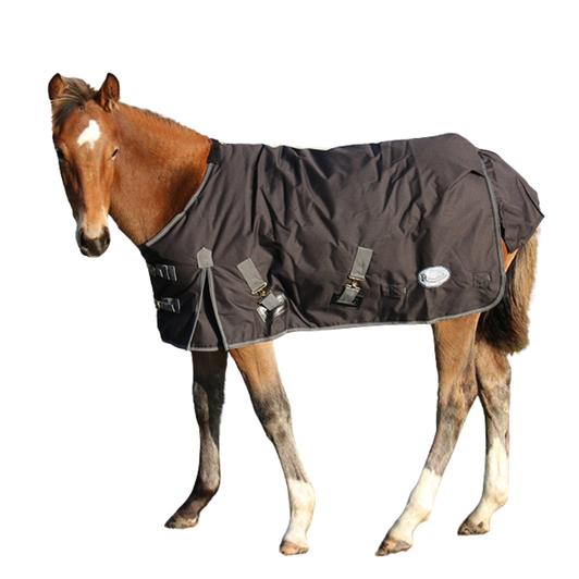 Rhinegold Konig  Foal / Small Pony Mediumweight Outdoor Rug