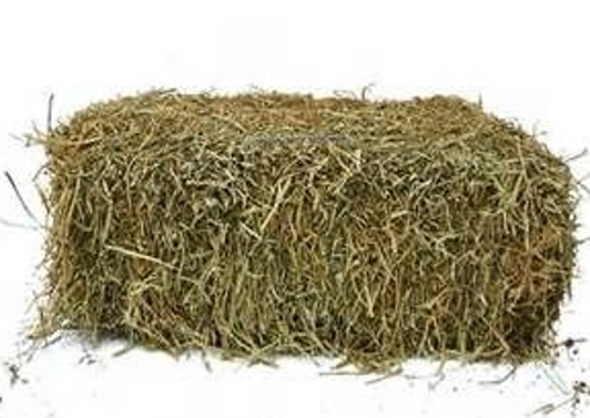 Premium quality fresh hay bales.

Nutritious source of food for household pets such at rabbits, hamsters and guinea pigs, as well as horses.