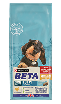 beta puppy large breed