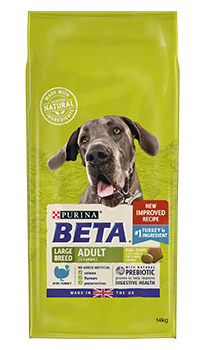 beta puppy large breed