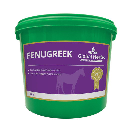 Fenugreek seeds are known to be useful as an aid to muscle function and can be used to help fussy eaters gain better appetite. Fenugreek can help horses to gain weight and condition. These versatile seeds can also calm and soothe the stomach.