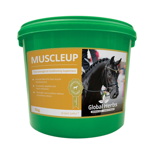 MuscleUp uses a traditional formula to help horses put on muscle and topline quickly and easily. This advanced supplement helps to support digestion, increase food utilisation and maintain muscle development. Ideal for showing, dressage or everyday use.