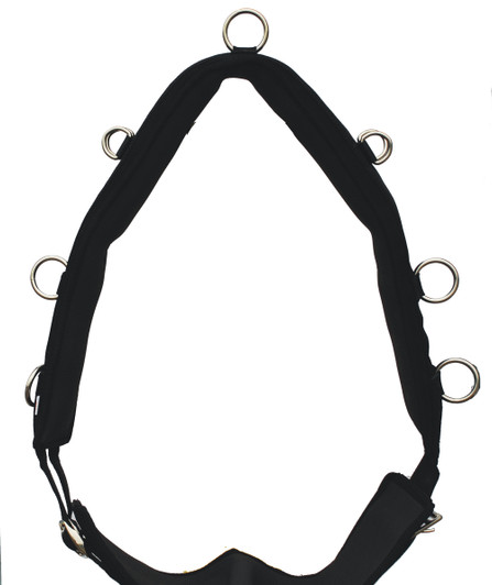 Strong nylon roller fully padded with soft sympatex lining throughout and 11 D rings to attach lunging aids to. The girth is fully eyeletted and has buckles on both sides for maximum adjustment.