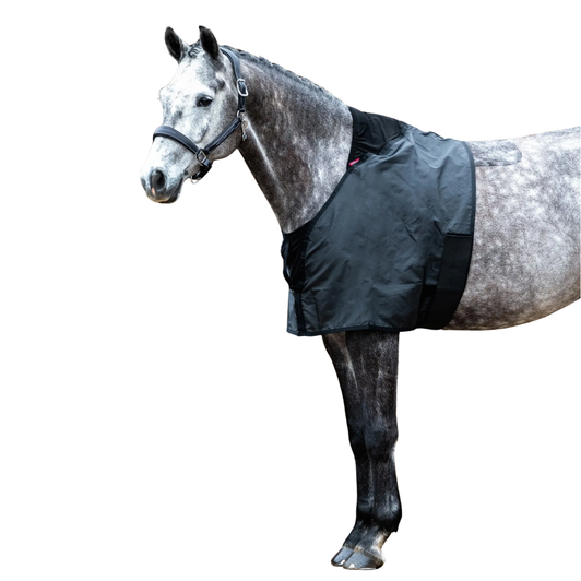 Lemieux Anti Rub Bib