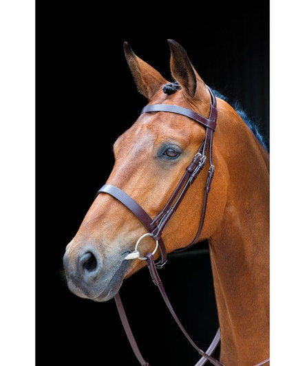 The traditionally styled Berrington cavesson bridle looks the part on the hunting field, in the show ring, or for everyday riding. The noseband head strap lays over the headpiece to relieve pressure on the poll. Features a wide noseband and browband, hook stud billets, quality fittings and rubber grip reins. Characterised by feature stitching detail, Salisbury leatherwork is synonymous with quality. Vegetable tanned leather for a more sustainable finish. Black leatherwork features stainless steel fittings, Australian Nut leatherwork has brass fittings.